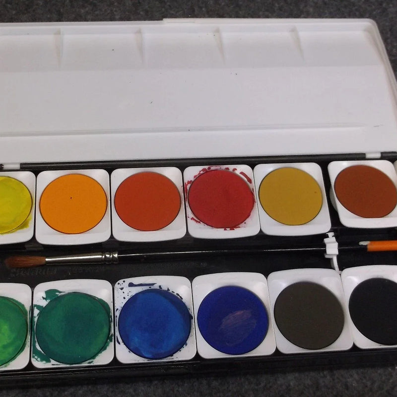 Aquarelles Pelikan Opaque 24 couleurs — Occasion